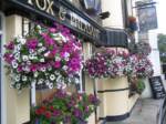 hanging-baskets 022