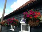 hanging-baskets 030