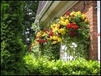 hanging-baskets 043