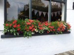 window-boxes 024